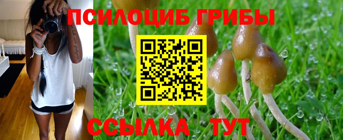 Псилоцибиновые грибы прущие грибы Кохма